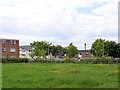 Leighton Hospital and staff accommodation