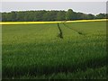 SU3138 : Farmland, Nether Wallop by Andrew Smith