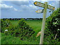 Looking towards Carr Head school from the footpath bridge