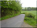 Country road near Gattonside