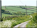 Winsham Down House nestling amongst the rolling hills.