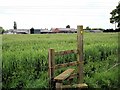 Leighton - Mile House across the barley