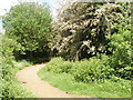 Path into Stockley Country Park