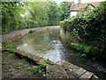 The Mill Stream, Dorchester