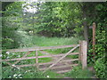 Bridleway through the woods