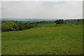 Farmland north of Lluest-y-gelli