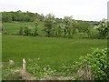 Muckenagh Townland