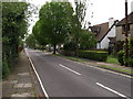 Andover - Humberstone Road from Winchester Road