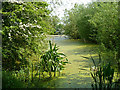 Finger Lake, Priory Country Park