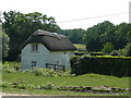 New Forest cottage