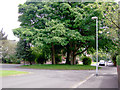 Roundabout on Old Broadway, Manchester