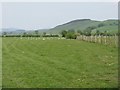 Clyde valley pasture at Lamington