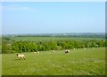 Bateswood Opencast site