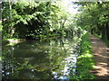 River Wey Navigation near Byfleet