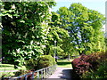 Entrance to Cooper Park