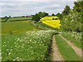 Byroad and lane near Egbury