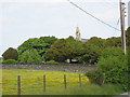 A buttercup meadow and the bell-cote of Eglwys y Santes Fair, Tregarth