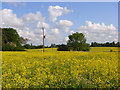 Farmland, Hurst