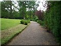 Path in The Argory Gardens