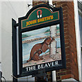 The Sign of The Beaver