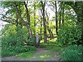 Entrance to Birks Wood, Oughtibridge, from Skelton Rise