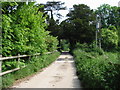 Road from Great Watersend under the railway bridge