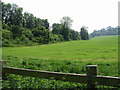 Railway embankment near Great Watersend