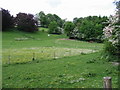 Paddocks near Little Watersend