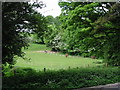 Horses in paddock near Little Watersend