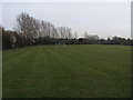 Playing fields off Chestnut Avenue