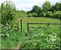 Woodcote near Smisby in south Derbyshire