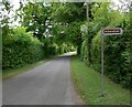 Annwell Lane at Bluebell Arboretum