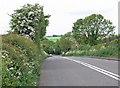 Burton Road near Annwell Place