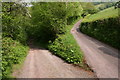 Bridleway to Gilfach (and beyond)