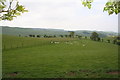 SO1558 : Field Beside Llannerch Farm by Bill Nicholls