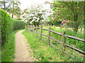 Footpath by Abinger Manor