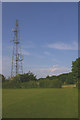 TQ4759 : Ivy Farm telecom mast by Ian Capper