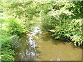 Pond near Wotton House