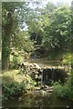 Small waterfall, Haslam Park, Preston