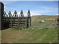 NY7818 : Multiple stile for soldiers to cross quickly in Warcop training ground by Gerald Davison