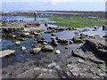 NZ9504 : Rock pools and sea weed at Robin Hood's Bay by Nick Mutton 01329 000000