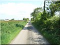 N9874 : Lane at Crewbane, Near Slane, Co. Meath by JP