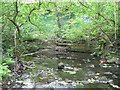 Weir by Troy and Brookfoot Mills, Horsforth