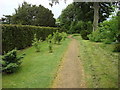 Edge of the maze, Bridge End Garden