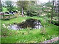 Pond at Earlsford Farm