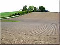 Ploughed field at Overton of Keithfield