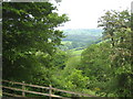 View down the Tamar valley from Tutwell