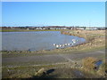 Poolsbrook Country Park - Lake View