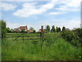 Houses beside Squires Road