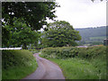 Driveway to The Gippols